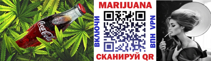 Купить  Абакан  Canna-Cookies конопля 