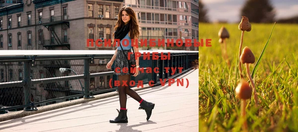 Альфа ПВП Коряжма