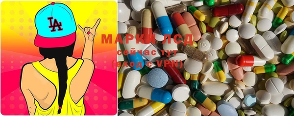 герыч Корсаков