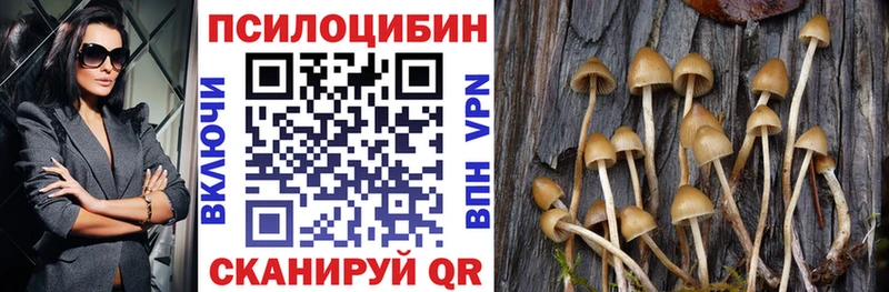 Псилоцибиновые грибы MAGIC MUSHROOMS  Купить закладки  Абакан 